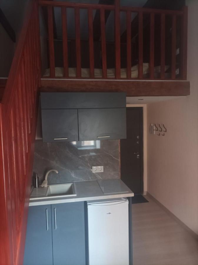 Chorni Vivtsy Apartment Chernivtsi Exterior photo